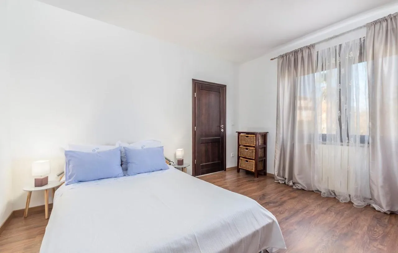 Apartments Spinotti Novigrad  Guest house Novigrad (Istria)